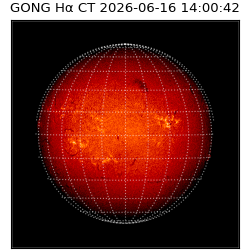 gong - 2026-06-16T14:00:42