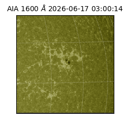 saia - 2026-06-17T03:00:14.120000