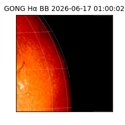 gong - 2026-06-17T01:00:02