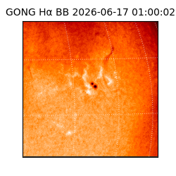 gong - 2026-06-17T01:00:02