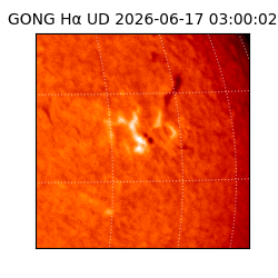 gong - 2026-06-17T03:00:02