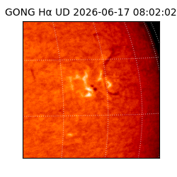 gong - 2026-06-17T08:02:02