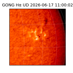 gong - 2026-06-17T11:00:02