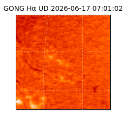 gong - 2026-06-17T07:01:02