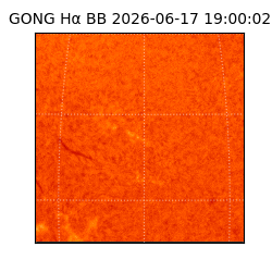 gong - 2026-06-17T19:00:02