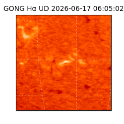 gong - 2026-06-17T06:05:02
