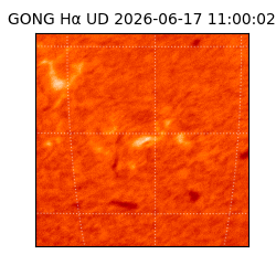 gong - 2026-06-17T11:00:02