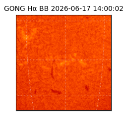gong - 2026-06-17T14:00:02
