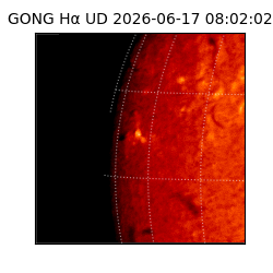gong - 2026-06-17T08:02:02