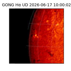 gong - 2026-06-17T10:00:02