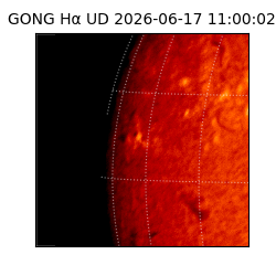 gong - 2026-06-17T11:00:02