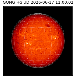 gong - 2026-06-17T11:00:02