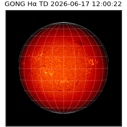 gong - 2026-06-17T12:00:22
