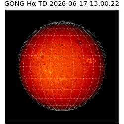 gong - 2026-06-17T13:00:22