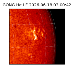 gong - 2026-06-18T03:00:42