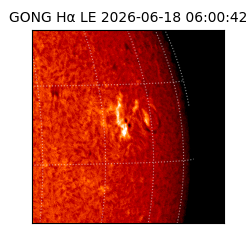 gong - 2026-06-18T06:00:42