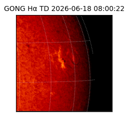 gong - 2026-06-18T08:00:22