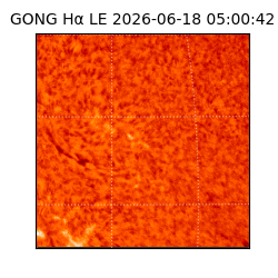 gong - 2026-06-18T05:00:42