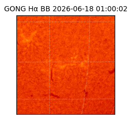 gong - 2026-06-18T01:00:02