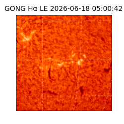 gong - 2026-06-18T05:00:42