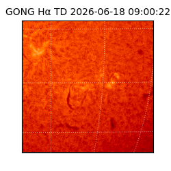 gong - 2026-06-18T09:00:22