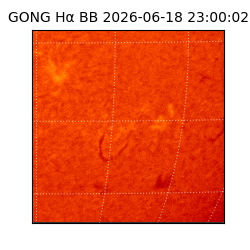 gong - 2026-06-18T23:00:02