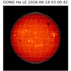 gong - 2026-06-18T03:00:42