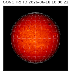 gong - 2026-06-18T10:00:22