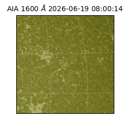 saia - 2026-06-19T08:00:14.131000