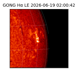 gong - 2026-06-19T02:00:42