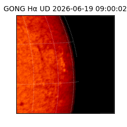 gong - 2026-06-19T09:00:02