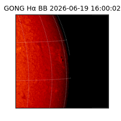 gong - 2026-06-19T16:00:02