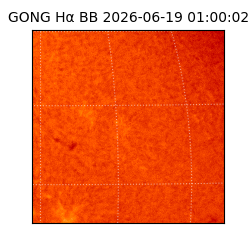 gong - 2026-06-19T01:00:02