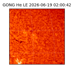 gong - 2026-06-19T02:00:42