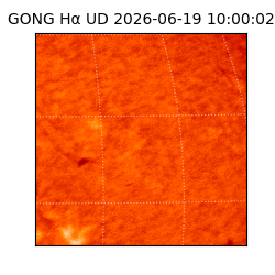 gong - 2026-06-19T10:00:02