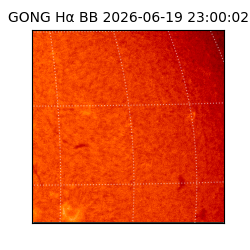 gong - 2026-06-19T23:00:02