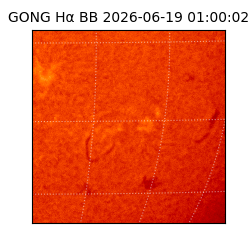 gong - 2026-06-19T01:00:02