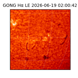 gong - 2026-06-19T02:00:42