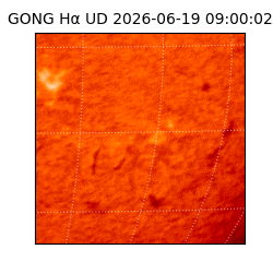 gong - 2026-06-19T09:00:02