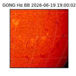gong - 2026-06-19T19:00:02