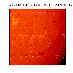 gong - 2026-06-19T21:00:02