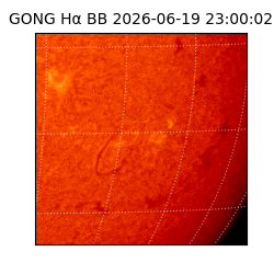 gong - 2026-06-19T23:00:02