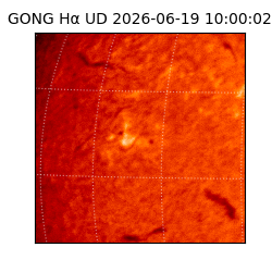 gong - 2026-06-19T10:00:02