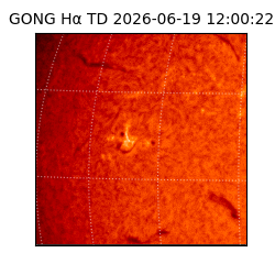 gong - 2026-06-19T12:00:22