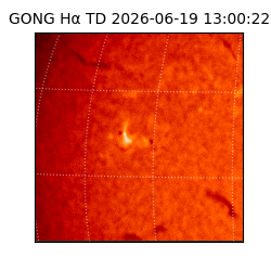 gong - 2026-06-19T13:00:22