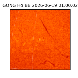 gong - 2026-06-19T01:00:02