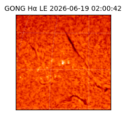 gong - 2026-06-19T02:00:42