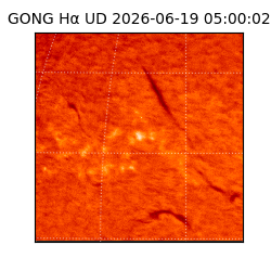 gong - 2026-06-19T05:00:02