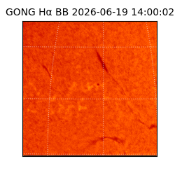 gong - 2026-06-19T14:00:02