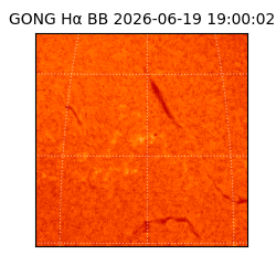gong - 2026-06-19T19:00:02